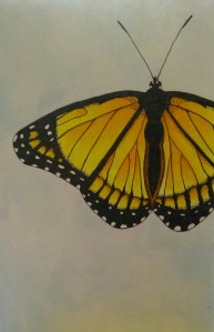 Watercolour Butterfly