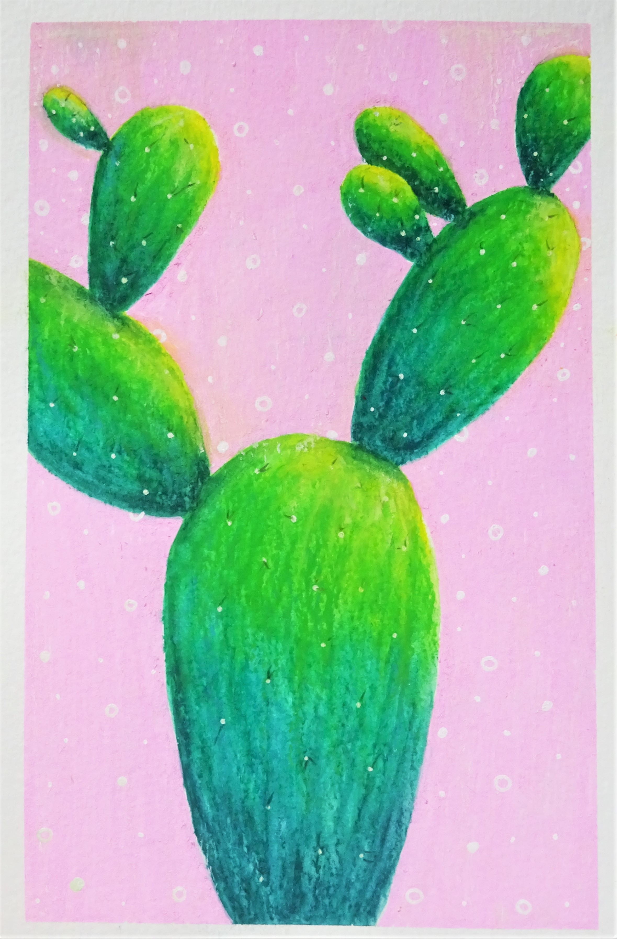 Prima art philosophy water soluble oil pastel cactus illustration / How to use water soluble oil pastel